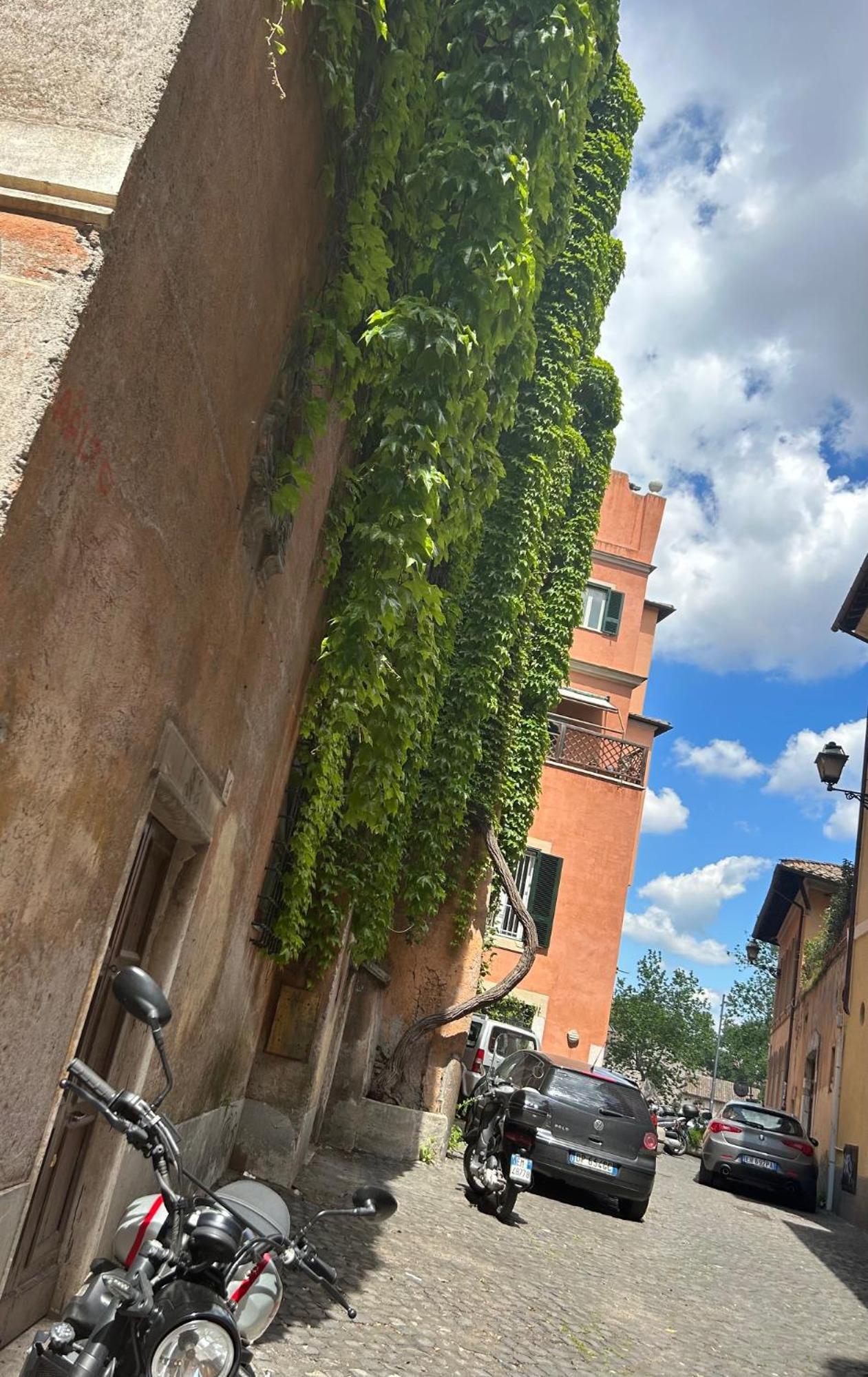 Apartamento Garden House Trastevere Roma Exterior foto